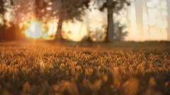 音乐短片 - 十分唯美的理查德.克莱德曼音乐