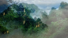 佛光山水普陀山