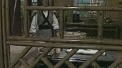 范文芳 - 示情