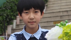 TF家族 - 快速了解贺峻霖
