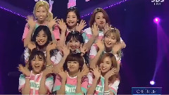 Sana(Twice),TWICE - TWICE SANA Shyshyshy 打歌舞台合集 饭制版