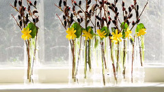 音乐短片 - 心太软