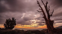 音乐短片 - Smoke Signals