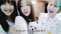 Hello Venus - VLive直播
