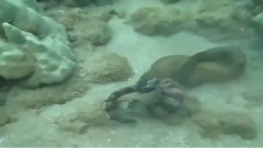 音乐短片 - The Bottom Of The Sea Will