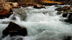 音乐短片 - 宽心的话语