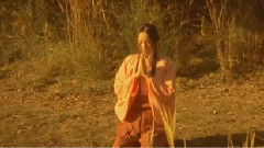 新垣结衣,刘亦菲 - 天下无双