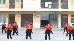 舞蹈视频 - 西街广场舞-山丹丹开花红艳艳