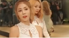 Stellar - Vibrato