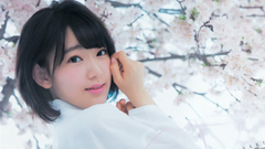 宫胁咲良,AKB48,HKT48 - 可爱女人 樱花花