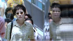 王菲 - 梦中人