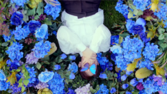 BEAST - Butterfly