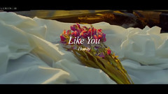Hoody - Like You