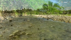 音乐短片 - 浪之舞