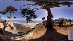 音乐短片 - 加州午后闲情