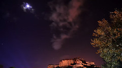 风景 - HUAWEI宣传片