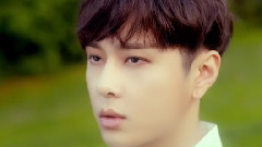 BEAST - Butterfly
