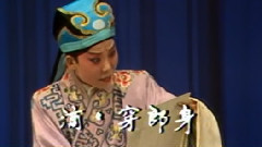 豫剧 - 秦雪梅4