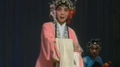 豫剧 - 抬花轿4