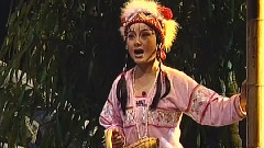 豫剧 - 凤山行4