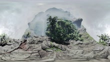 《泰山归来：险战丛林》预告1