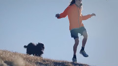 音乐短片 - 林荫小道与忠犬