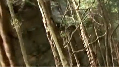 音乐短片 - 环游世界之澳大利亚 第7集A