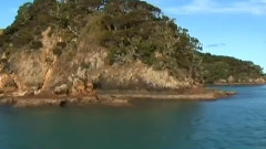 音乐短片 - 环游世界之新西兰 第2集