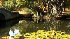 音乐短片 - 环游世界之新西兰 第6集