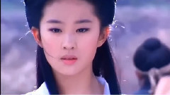 刘亦菲 - 尪仔某面