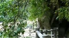 音乐短片 - 环游世界之贵州荔波