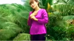 亚洲群星 - Noi Nho Phuong Xa