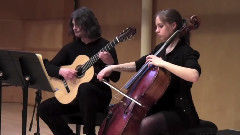 音乐短片 - The classical guitar cello duet The mulberry violin Animal carnival The swan