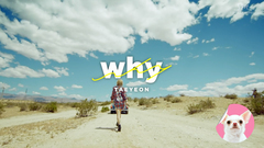 太妍(少女时代) - Why