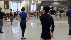 欧美群星 - World Ballet Day