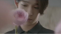 Winner - FOOLS 4分钟带你感受你拿逆天的颜值