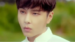 BEAST - Butterfly
