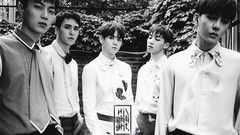 BEAST - Ribbon