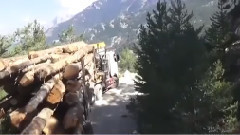 音乐短片 - This truck scale