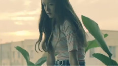 Seventeen - Very Nice