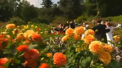 Andre Rieu,音乐短片 - You Raise Me Up