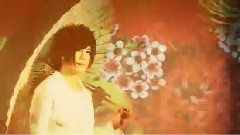 葵 - 秘すれば花