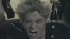 EXO - The wolf Twenty