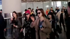 T-ara,T-ara N4 - 接机