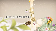 Nico - Bouquet