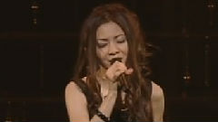 仓木麻衣 - The ROSE～Melody In The Sky～