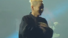 YG Family - Hi-Tech
