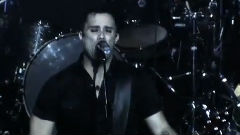 Skillet - Awake And Alive