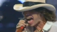 Steven Tyler - The Demon Of Screamin