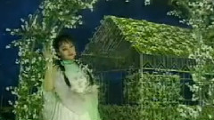 送给妈妈的茉莉花
